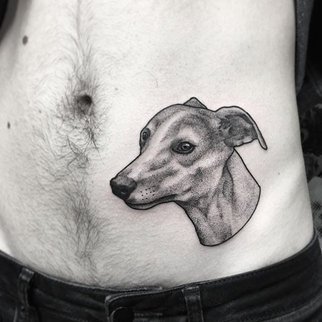 face of a Greyhound tattoo on the side of th belly