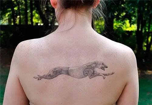 running Greyhound tattoo on the back