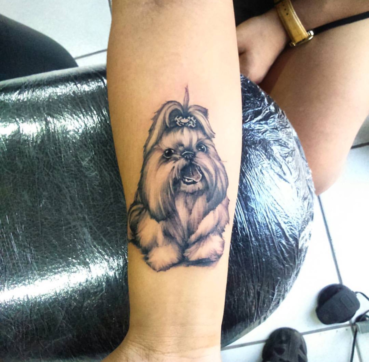 sitting Shih Tzu with its mouth opened tattoo on the forearm
