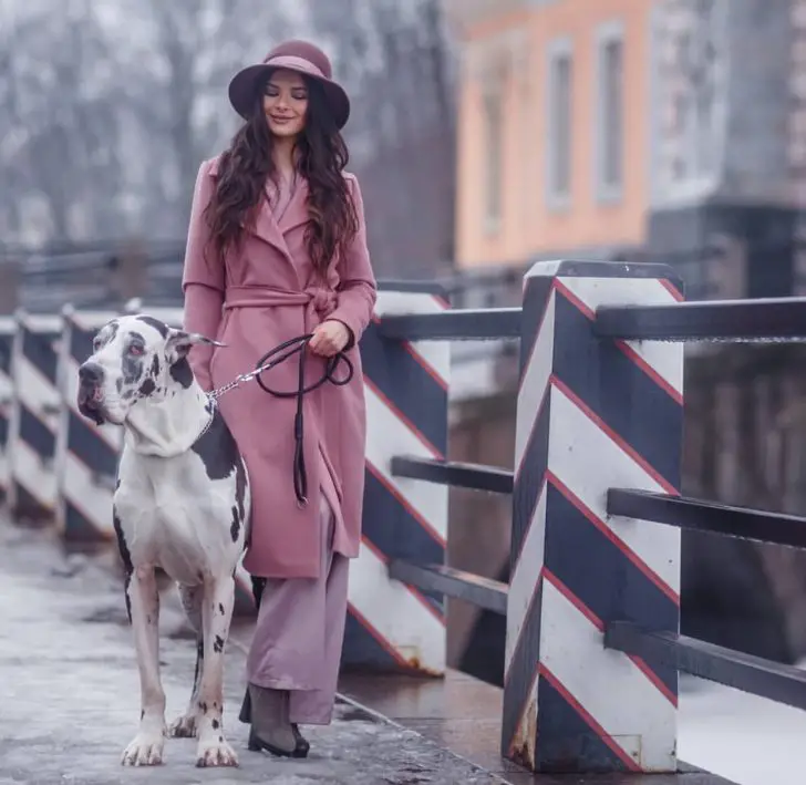 a woman walking in the bridge with a Great Dane
