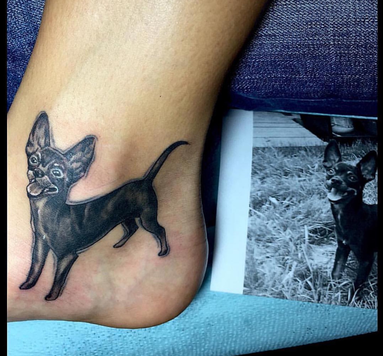 black Chihuahua tattoo on the heel