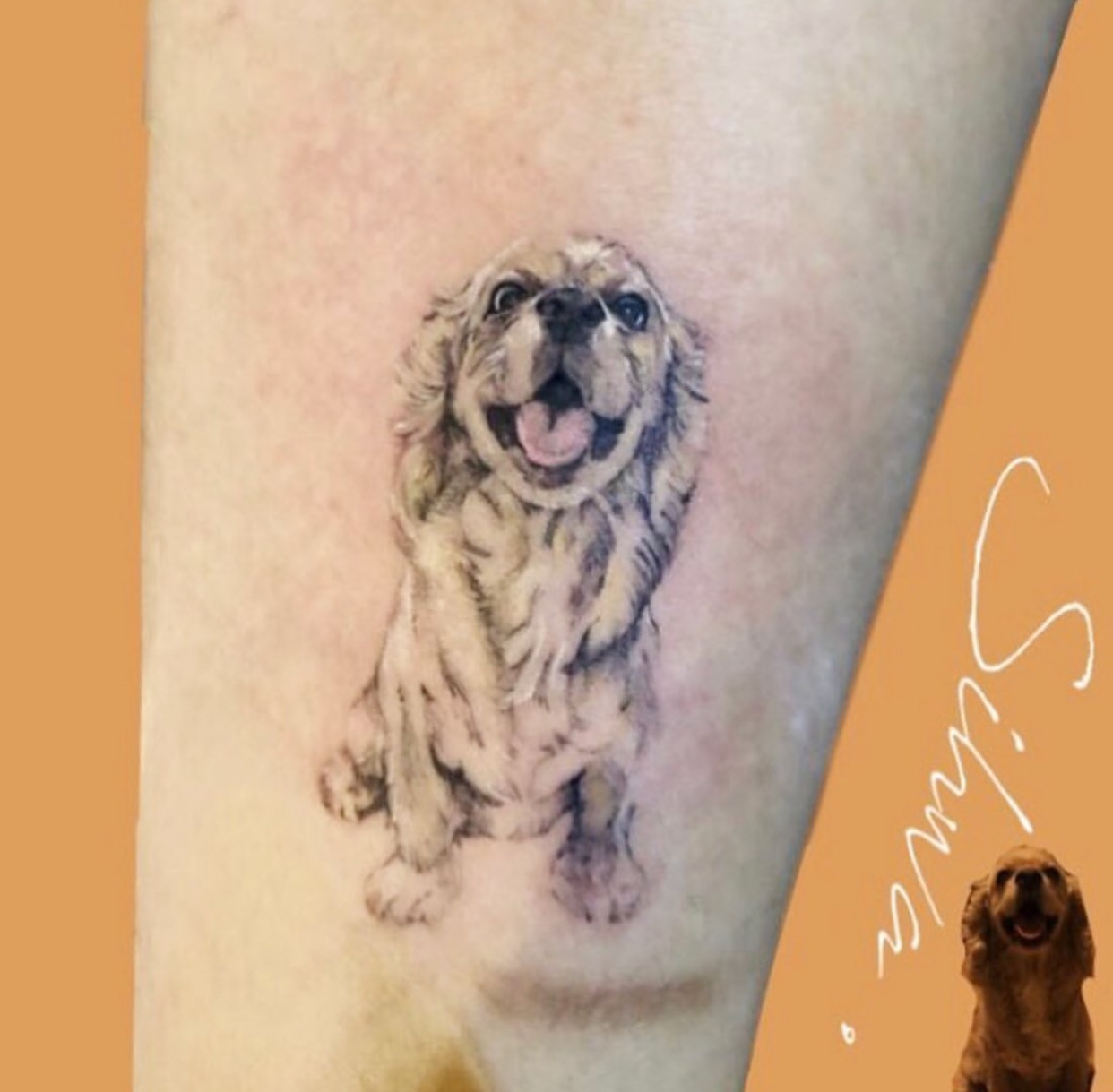 smiling Cocker Spaniel while sitting tattoo