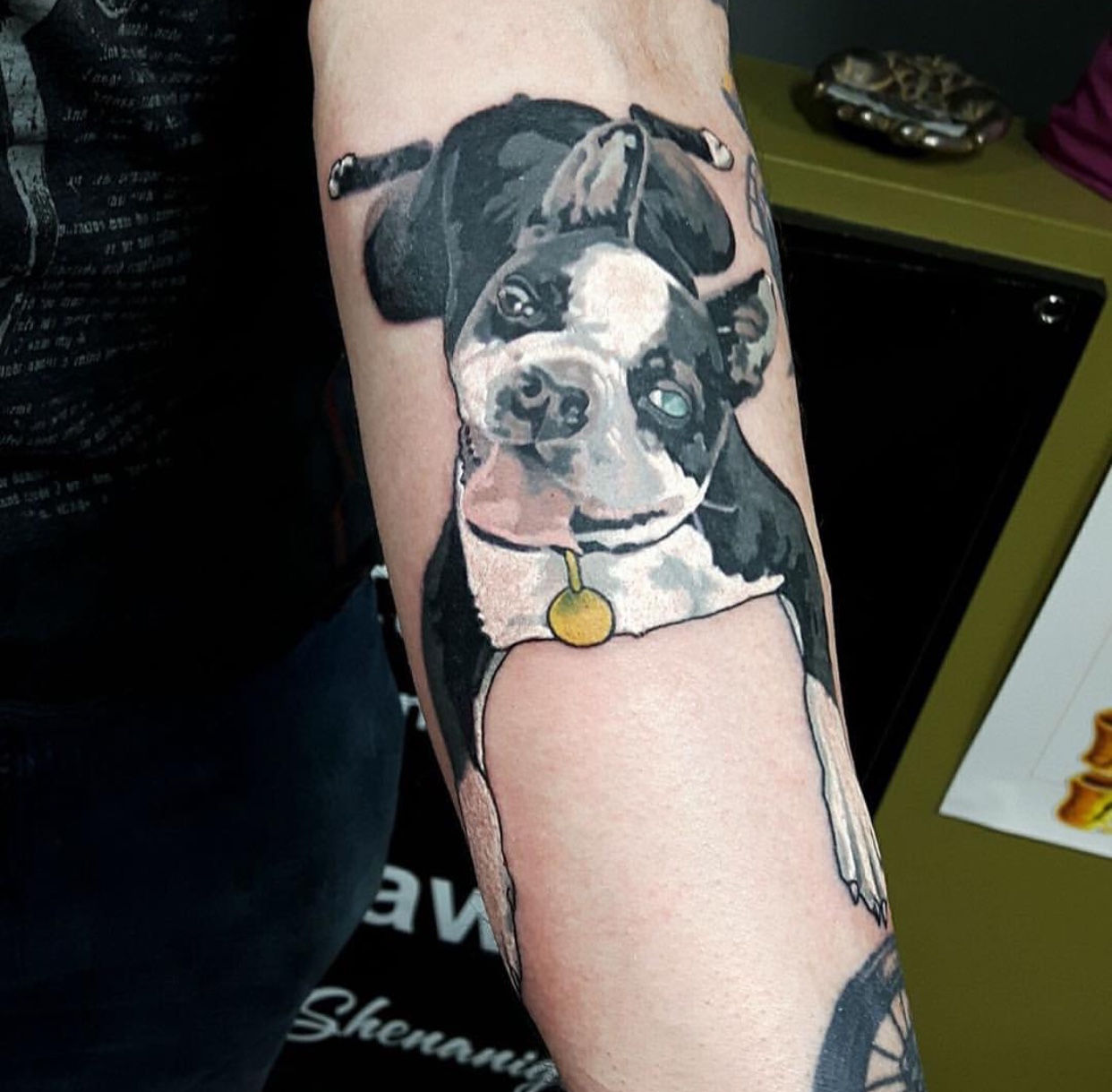 lying down black and white Boston Terrier painting style tattoo on the forearm