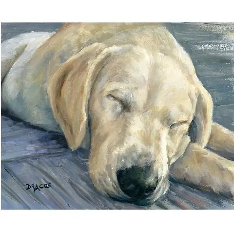 yellow Labrador Retriever sleeping on the floor painting