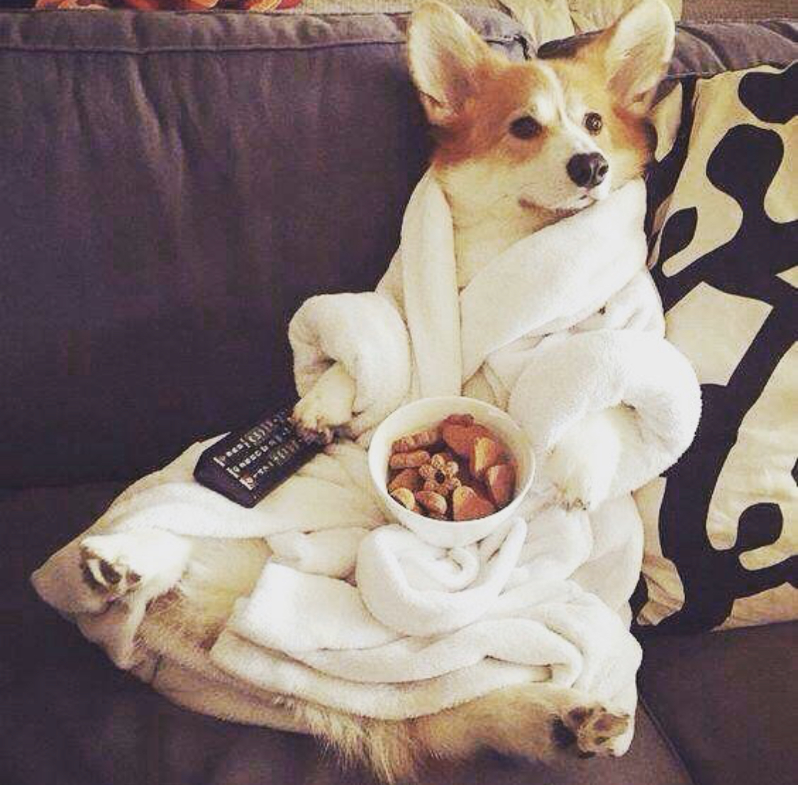 Corgi wearing a bath robe while sitting on the couch with a bowl of treats and remote in its lap