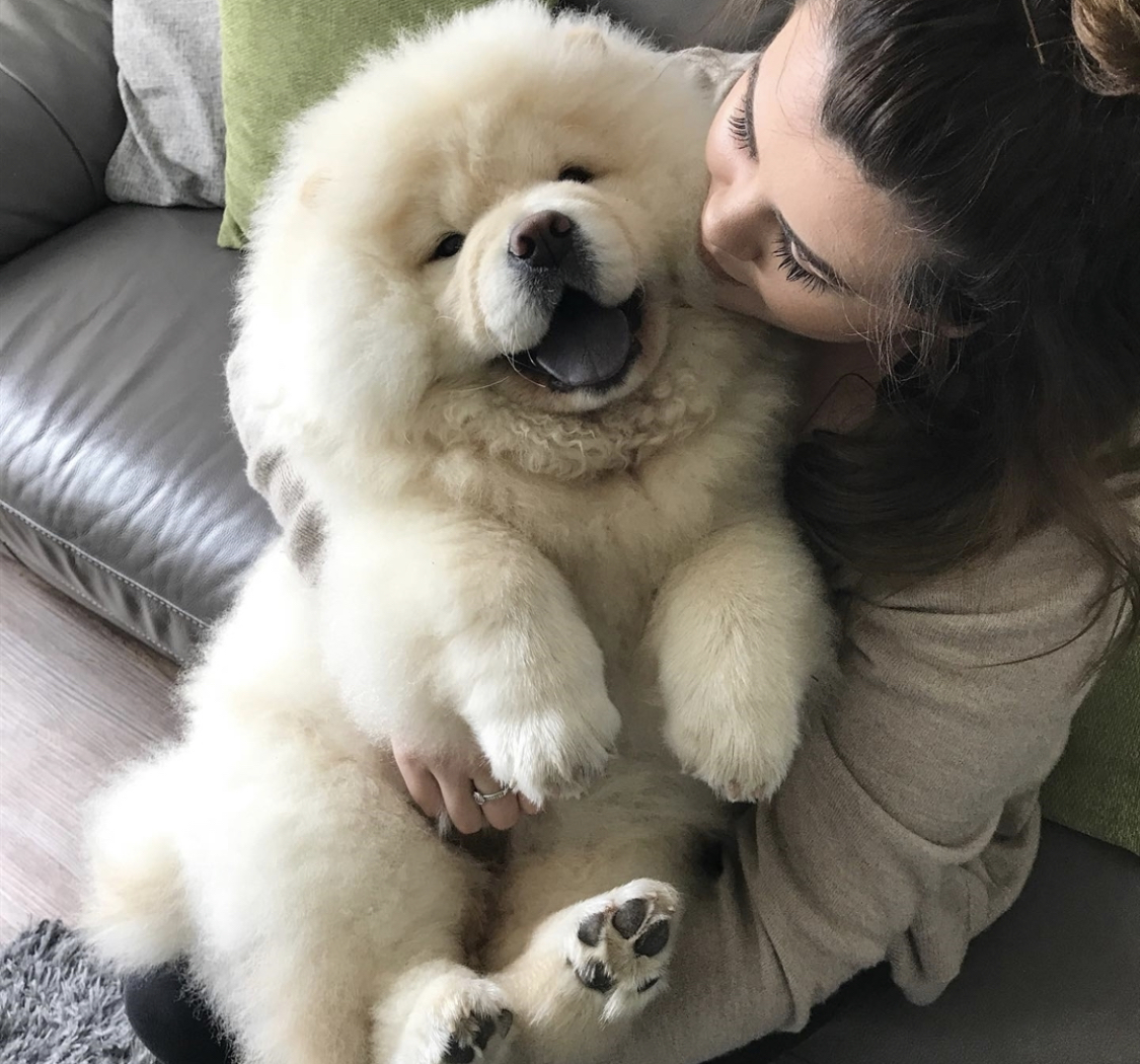 A woman sitting on the couch while hugging the chowchow puppy on her lap