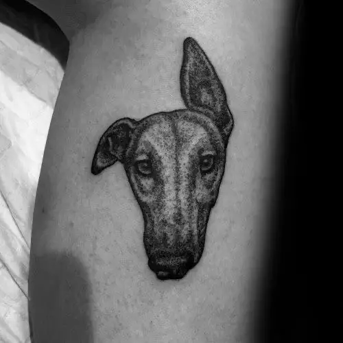 Greyhound face with one ear up tattoo on the leg