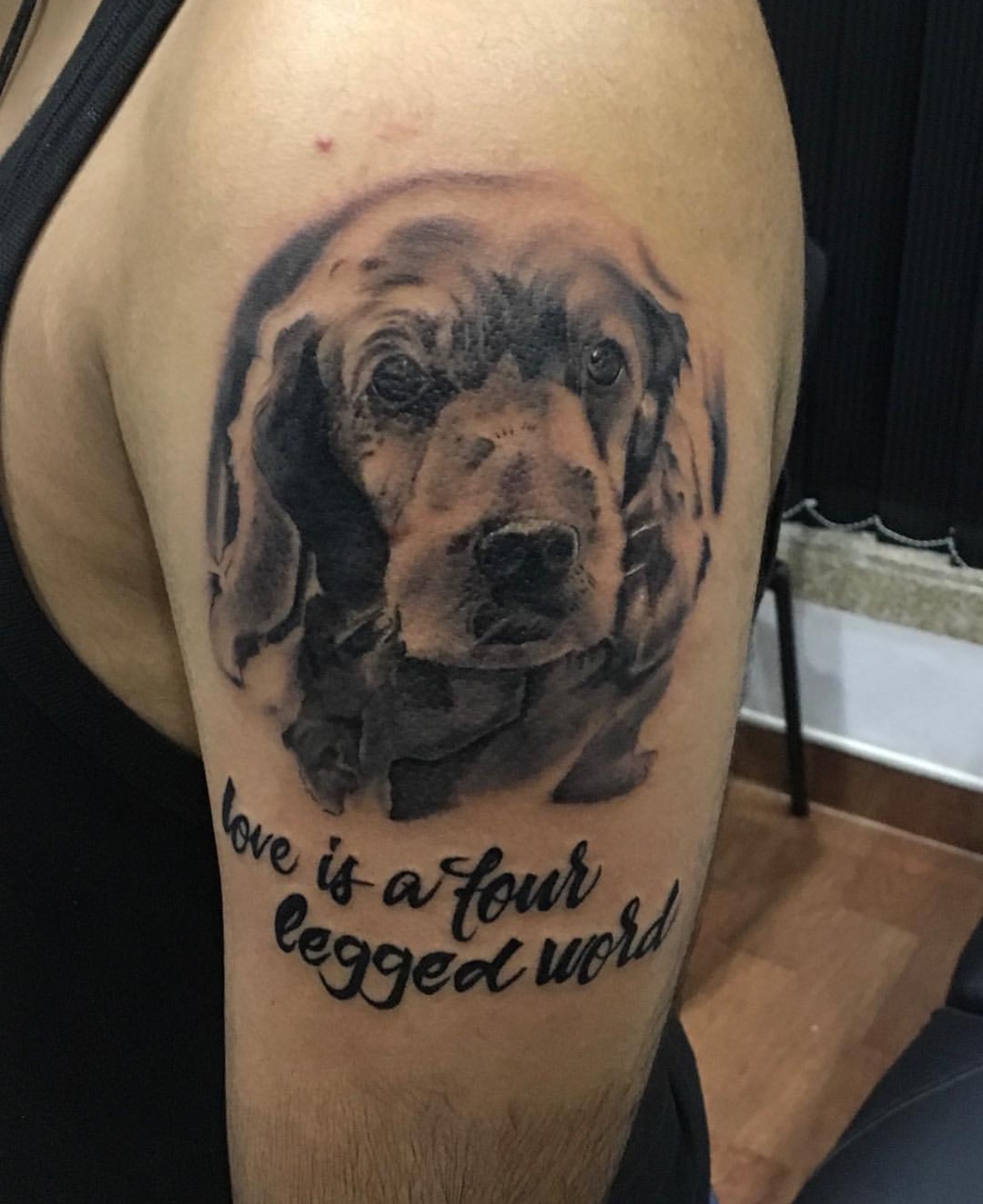 face of Cocker Spaniel with a quote 