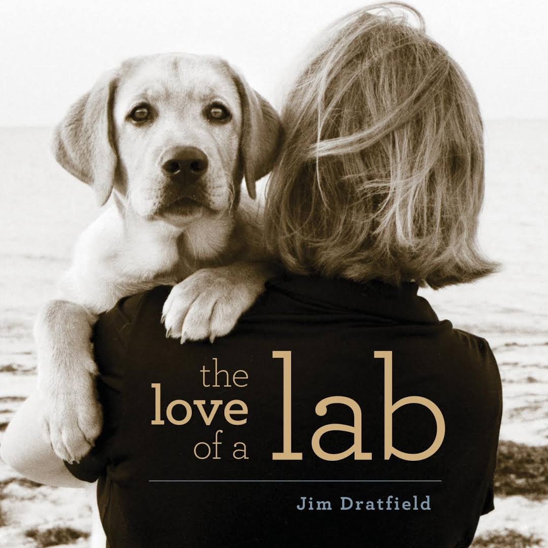 photo of a woman carrying a Labrador Retriever puppy and with title - The love of a Lab