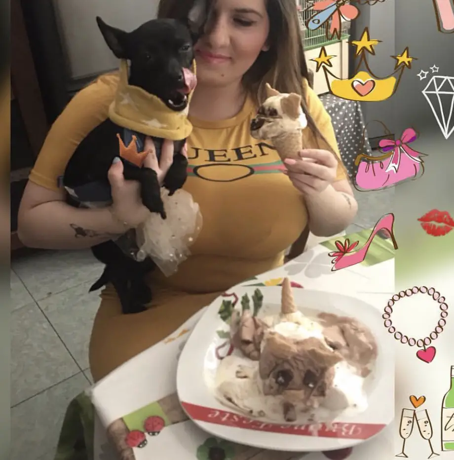 A woman sitting at the table while holding her chihuahua and a cone of icecream