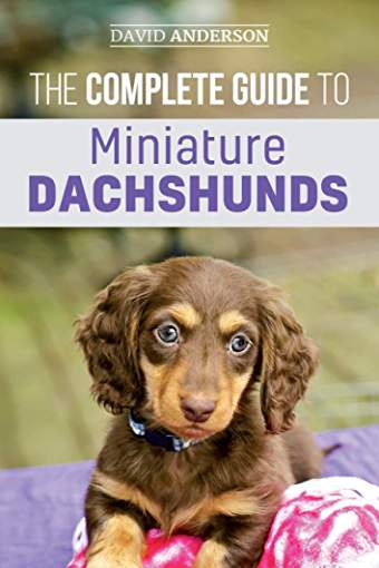 Book cover with a photo of a Dachshund lying down on its bed and a title 