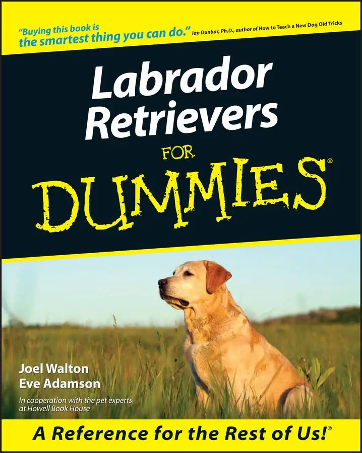 photo of a Labrador Retriever sitting on the grass and with title - Labrador Retriever for dummies