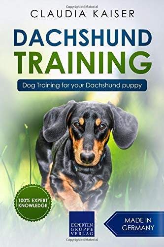 Book cover with a photo of a Dachshund walking in the grass and title