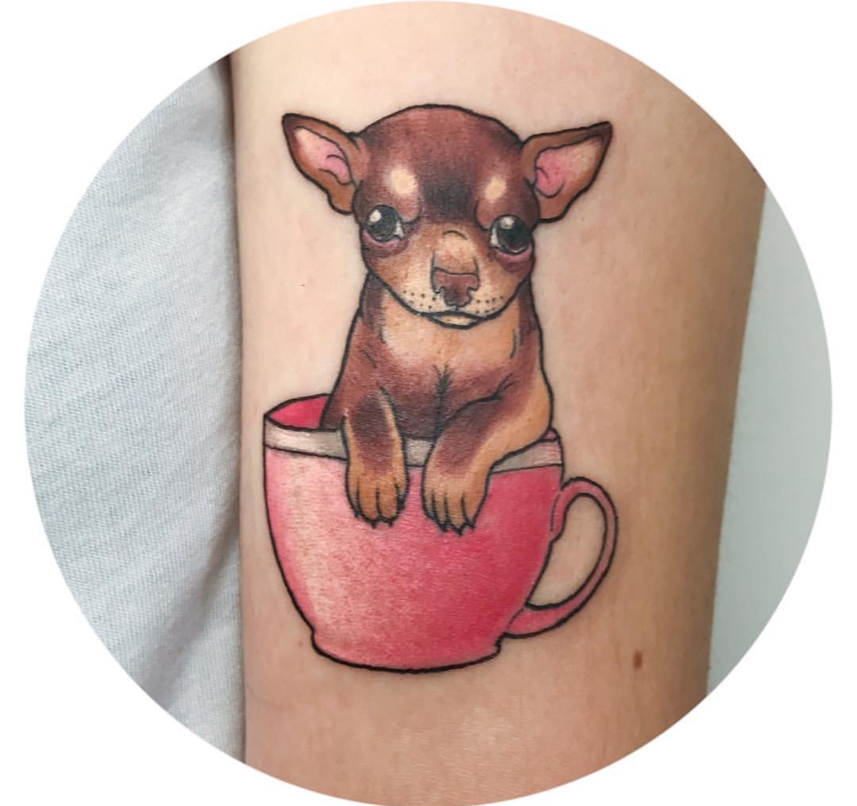 Chihuahua in a cup tattoo on the biceps