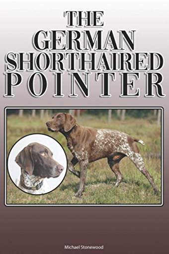 photo of a German Shorthaired Pointer standing on the grass and with title - The German Shorthaired Pointer: A Complete and Comprehensive Owners Guide to: Buying, Owning, Health, Grooming, Training, Obedience, Understanding and Caring for Your German Shorthaired Pointer