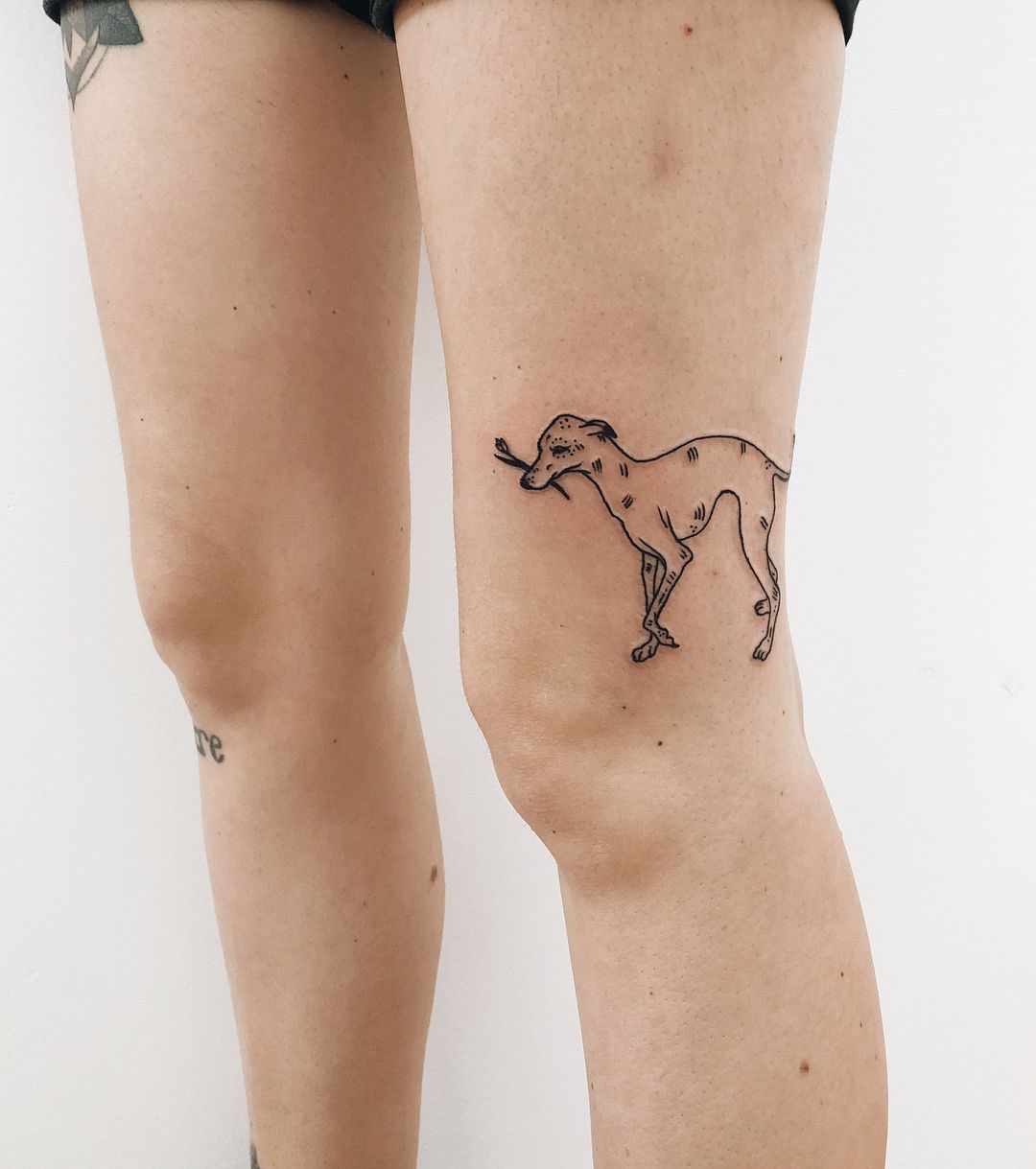 scratched Greyhound with a flower in its mouth tattoo on the knee