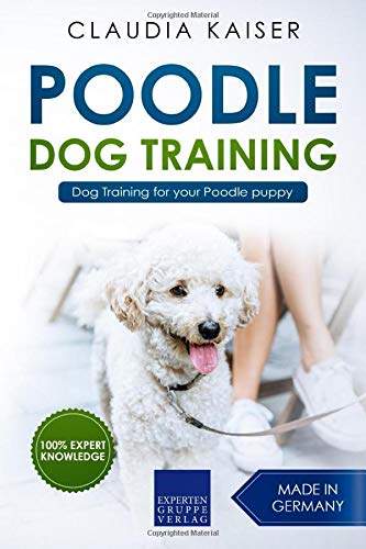 book cover with title - Poodle Training: Dog Training for your Poodle puppy, and photo of a poodle standing on the floor with its tongue out in front of a lady sitting on the chair