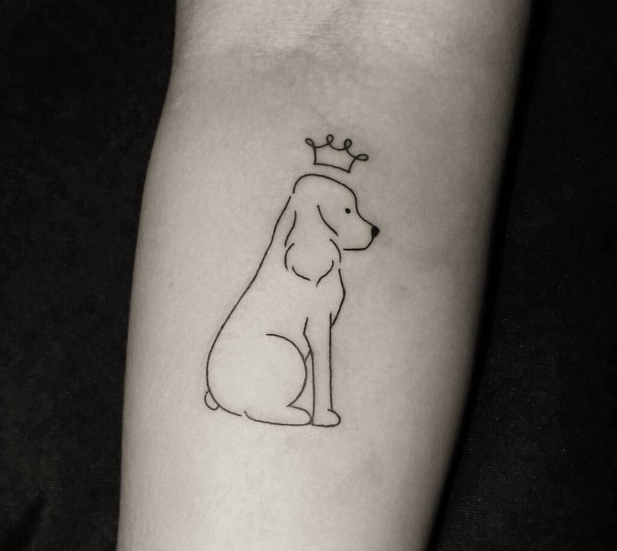 outline of sitting Cocker Spaniel with a crown tattoo on the forearm