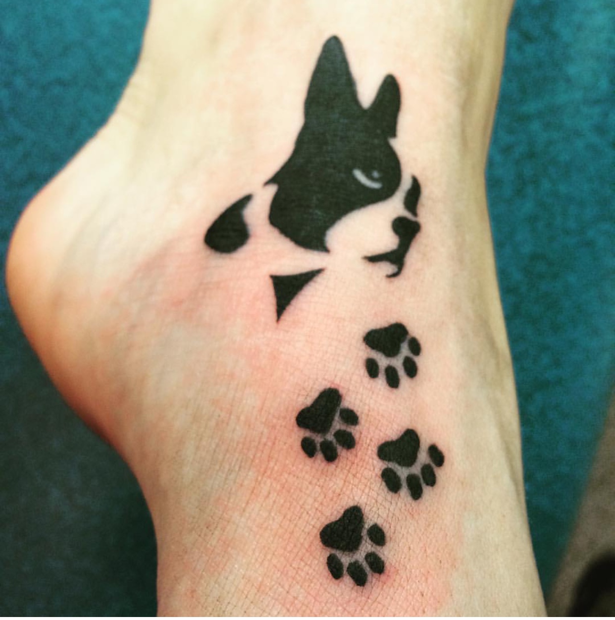 sideview face of a Boston Terrier with four paw prints small tattoo on feet