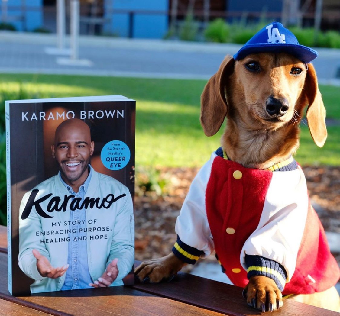 Dachshund wearing a jacket and cap sitting beside the table with a book displayed on top