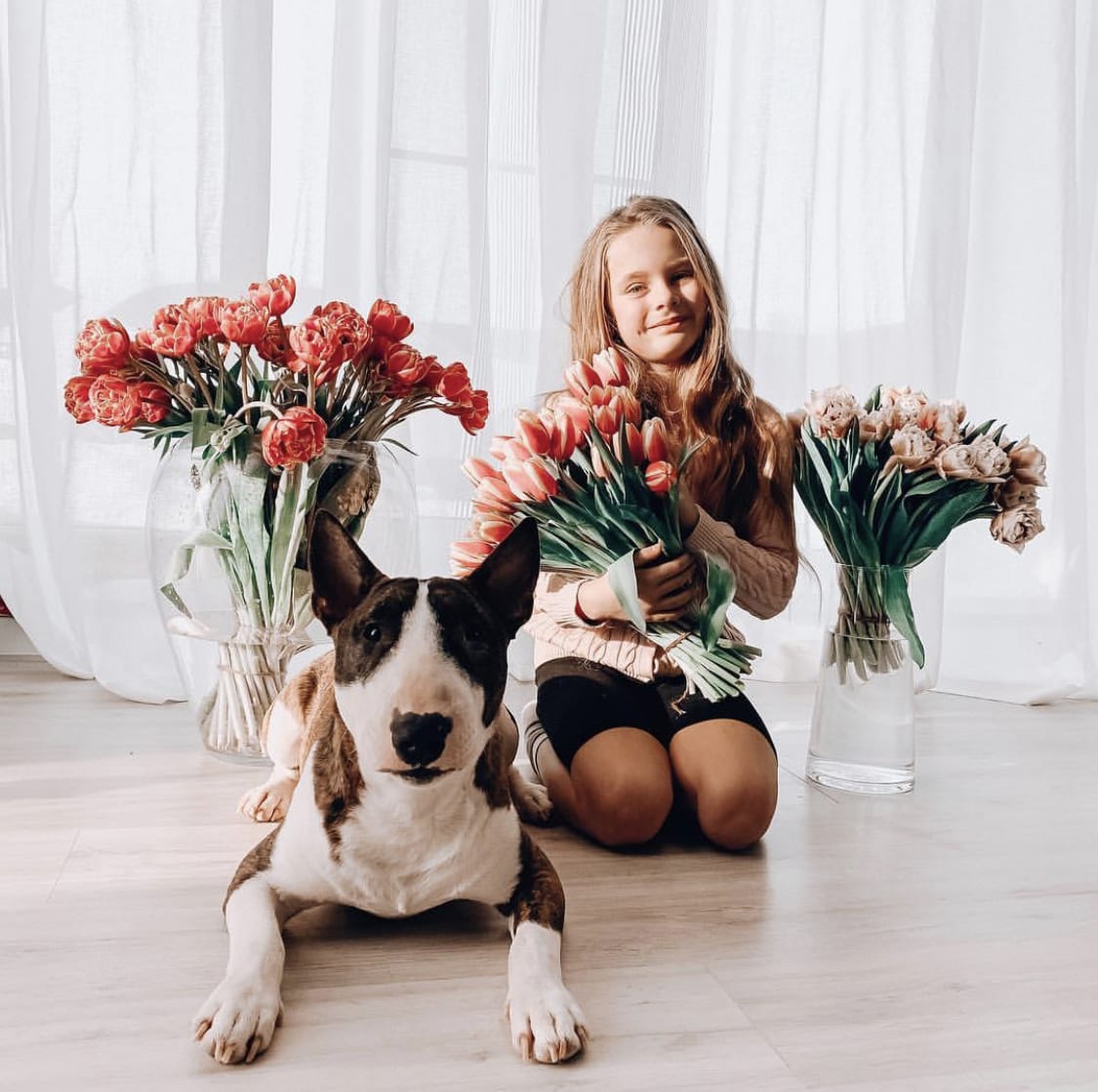 A Bull Terrier lying on the floor with a woman sitting in between the flowers in vases behind while holding a bunch of tulip flowers