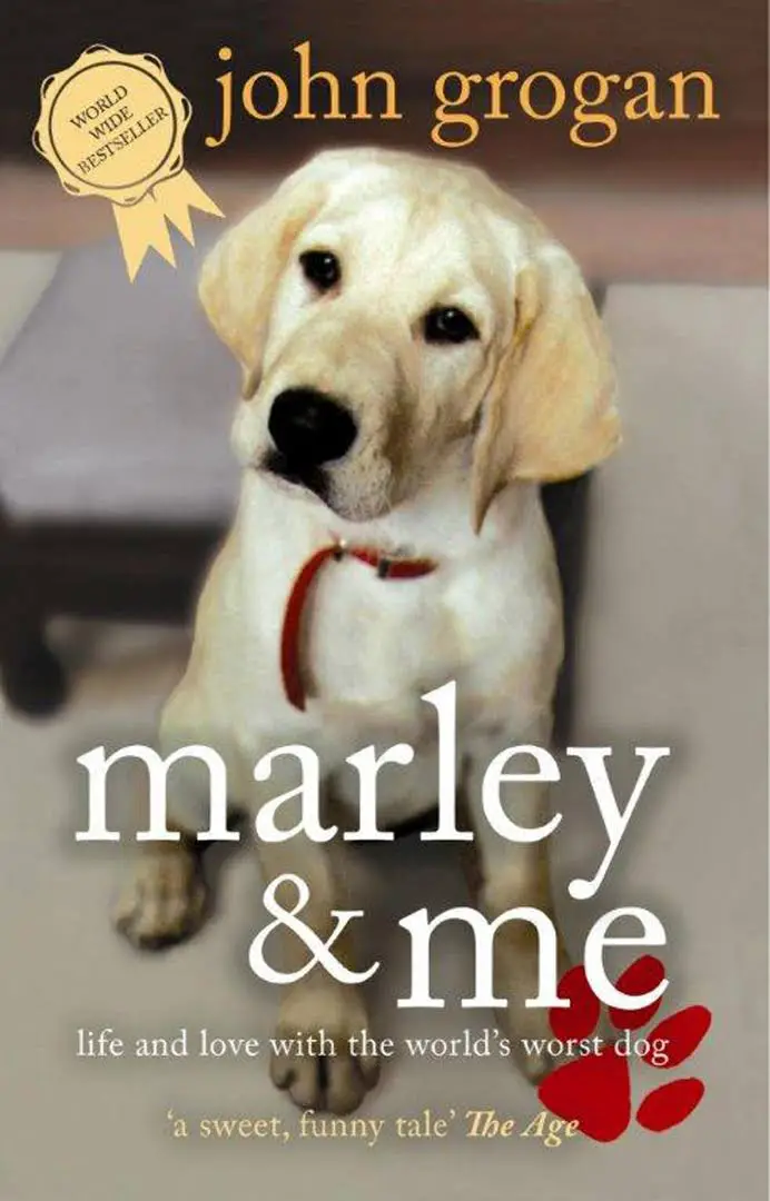 photo of a yellow Labrador Retriever puppy and with title - John Grogan, Marley and Me
