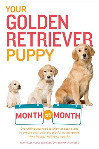 book cover with title Your Golden Retriever Puppy Month by Month and a photo of a puppy to adult Golden Retriever