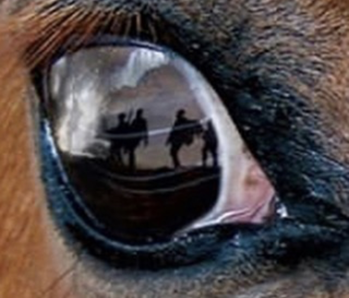 eye of the horse with the reflection of soldiers walking in the mountain