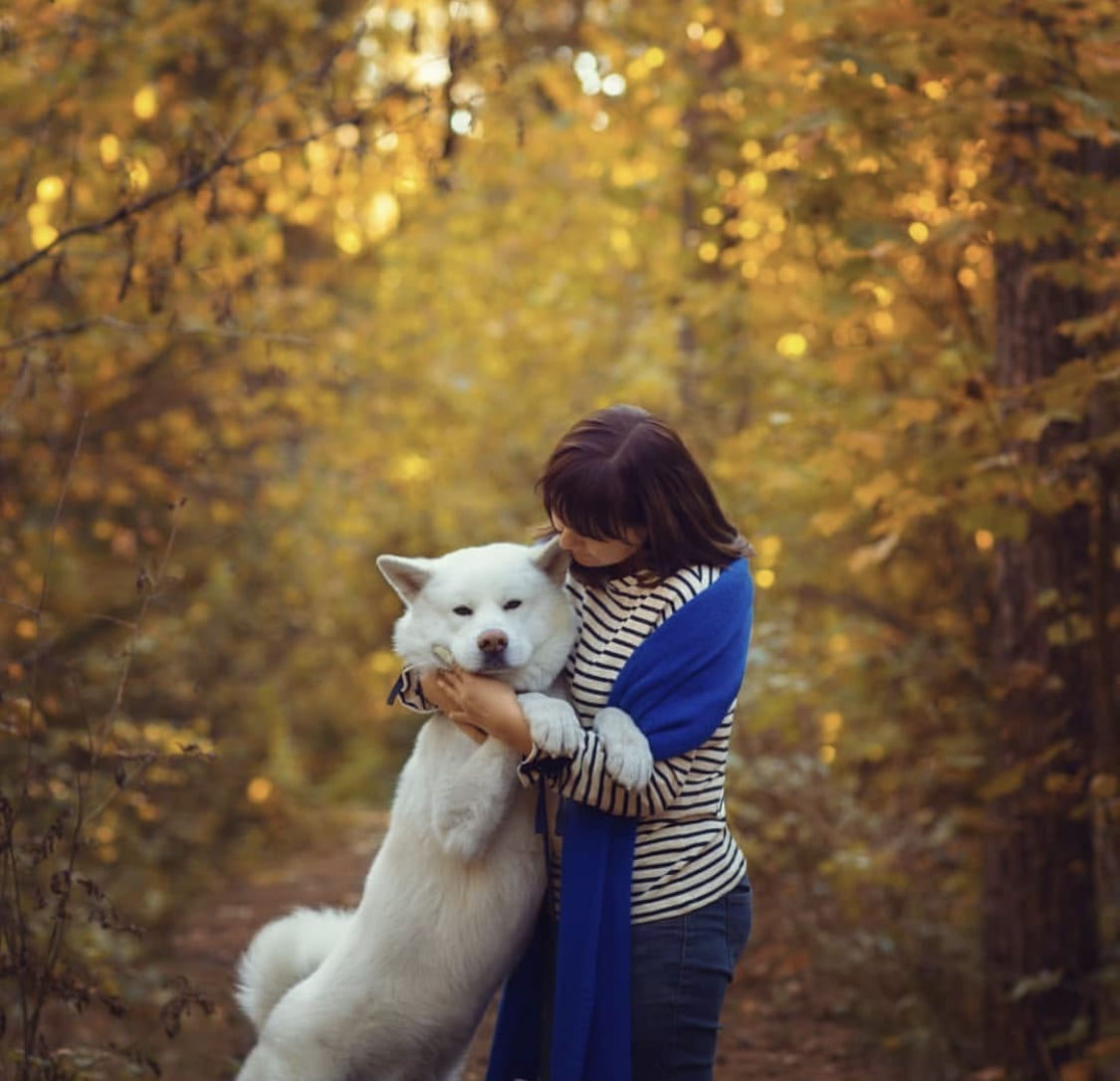 A woman hugging a Akita in the forest