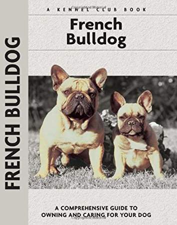 an adult and puppy French Bulldog standing on the grass and with title - French Bulldog, a comprehensive guide to owning and caring for your dog
