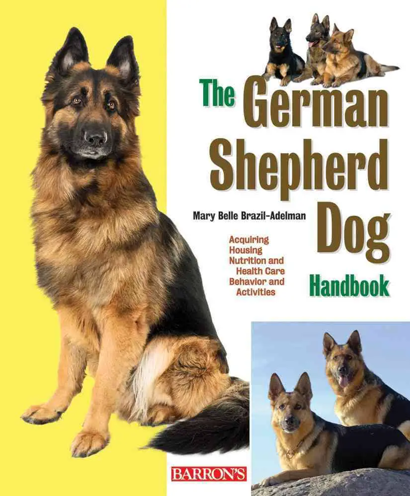 A book cover with a photo of a German Shepherd dog sitting in an isolate yellow and white background, and with title - The German Shepherd Dog handbook