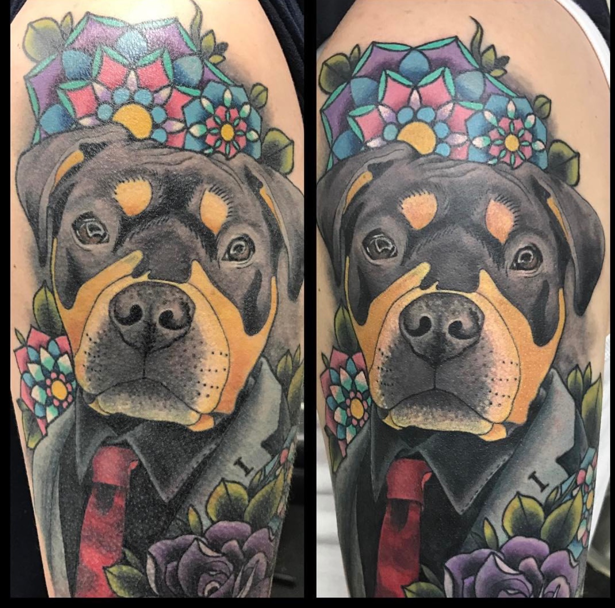 Rottweiler in a a black suit tattoo