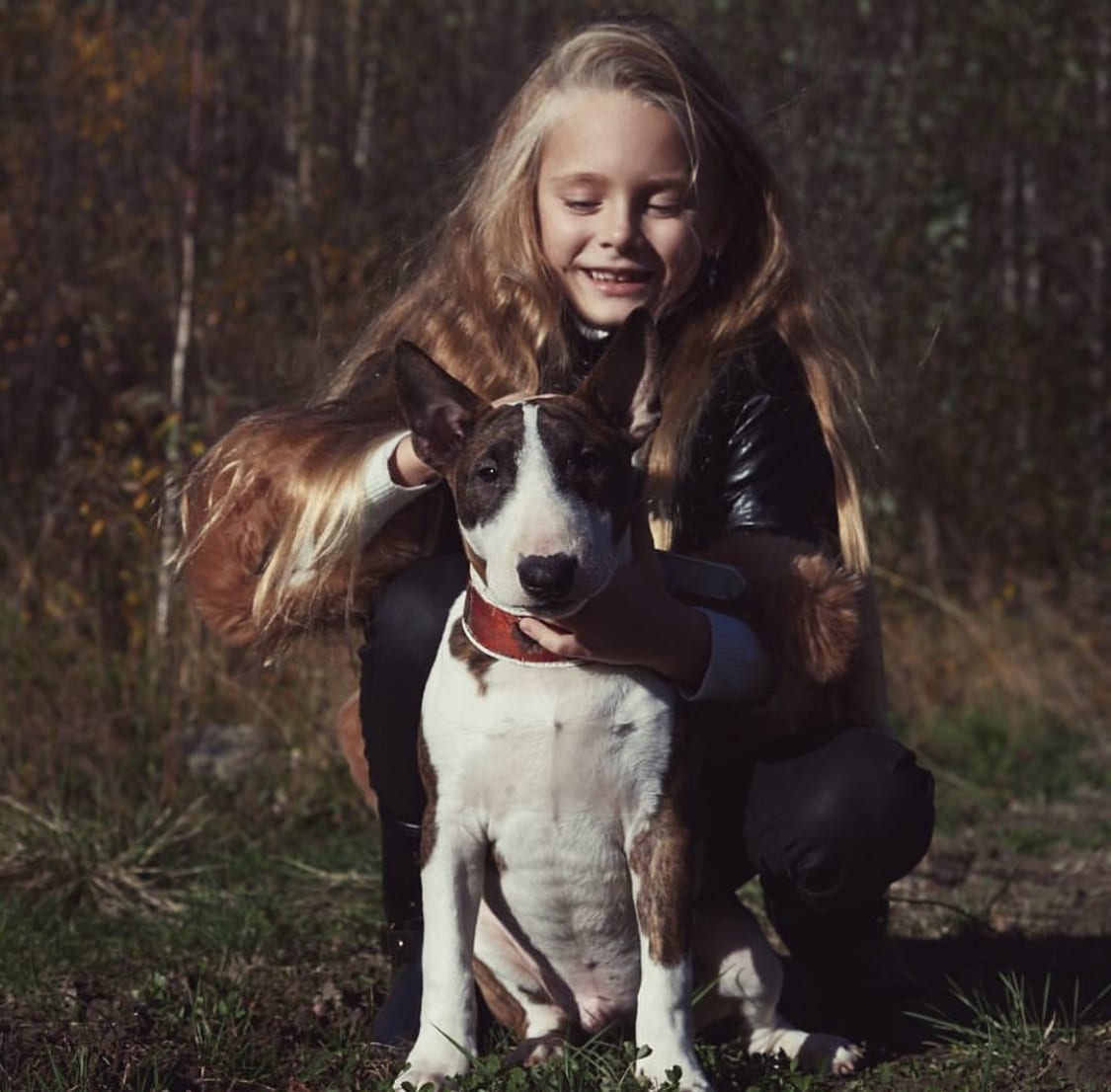 A Bull Terrier puppy sitting on the grass with a girl behind him