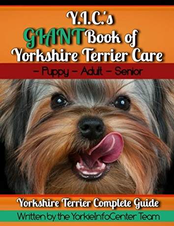 Yorkshire Terrier book with title 