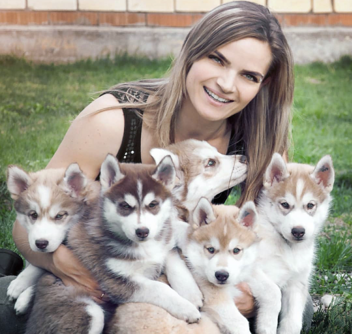 a woman in the yard with five Husky Puppies