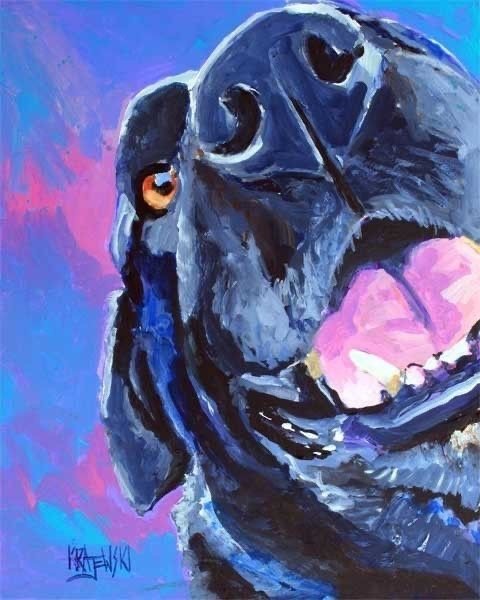 close up looking up face of a Labrador Retriever with blue, pink, and black colors