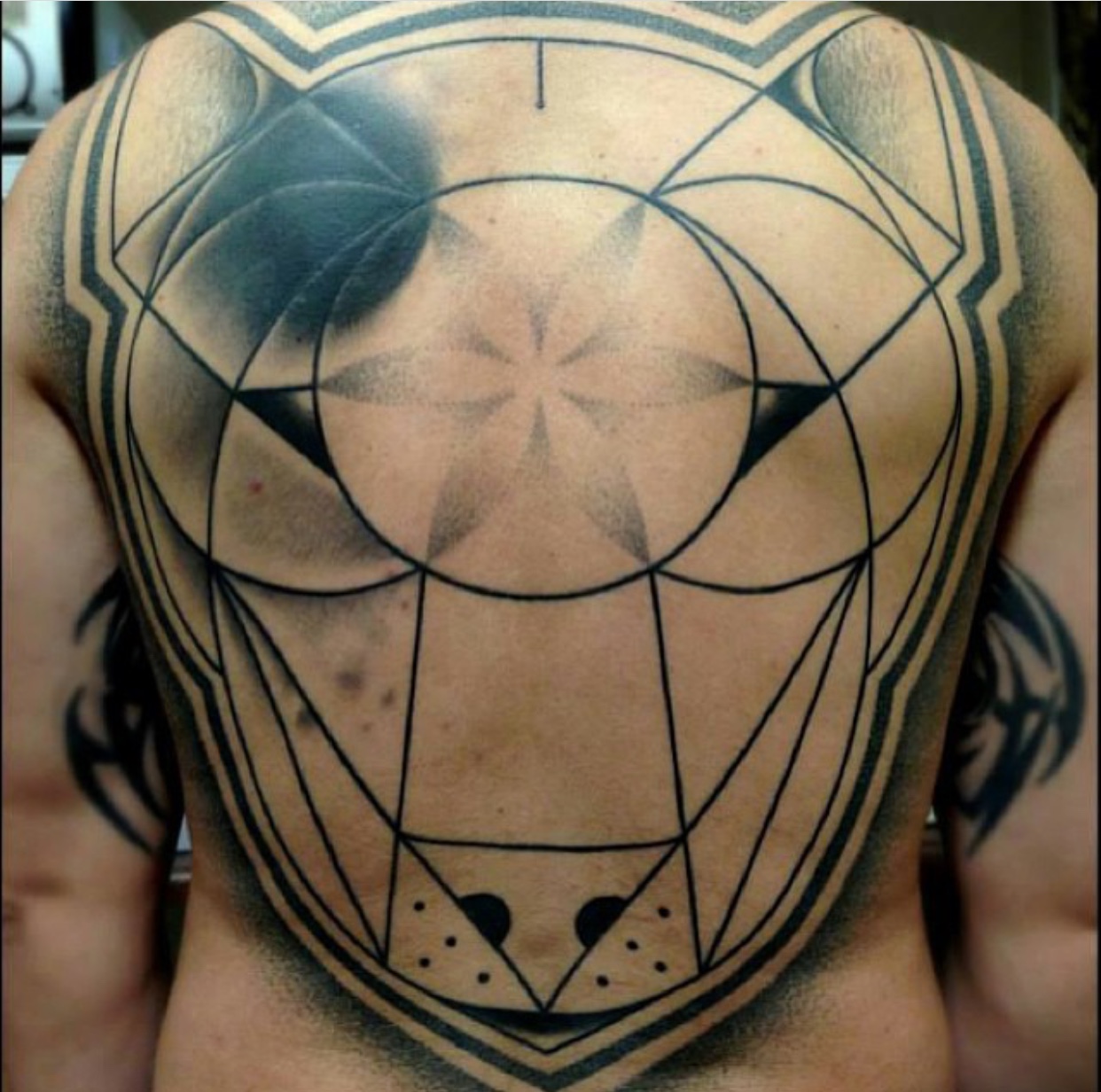 geometric face of Bull Terrier tattoo on the whole back