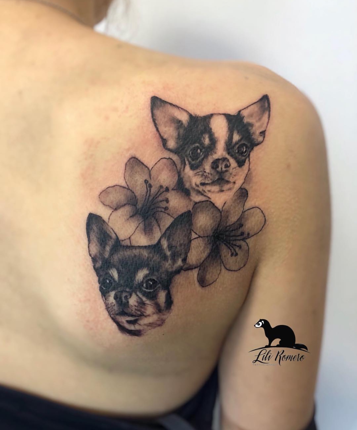 two Chihuahuas with flowers tattoo on the shoulder