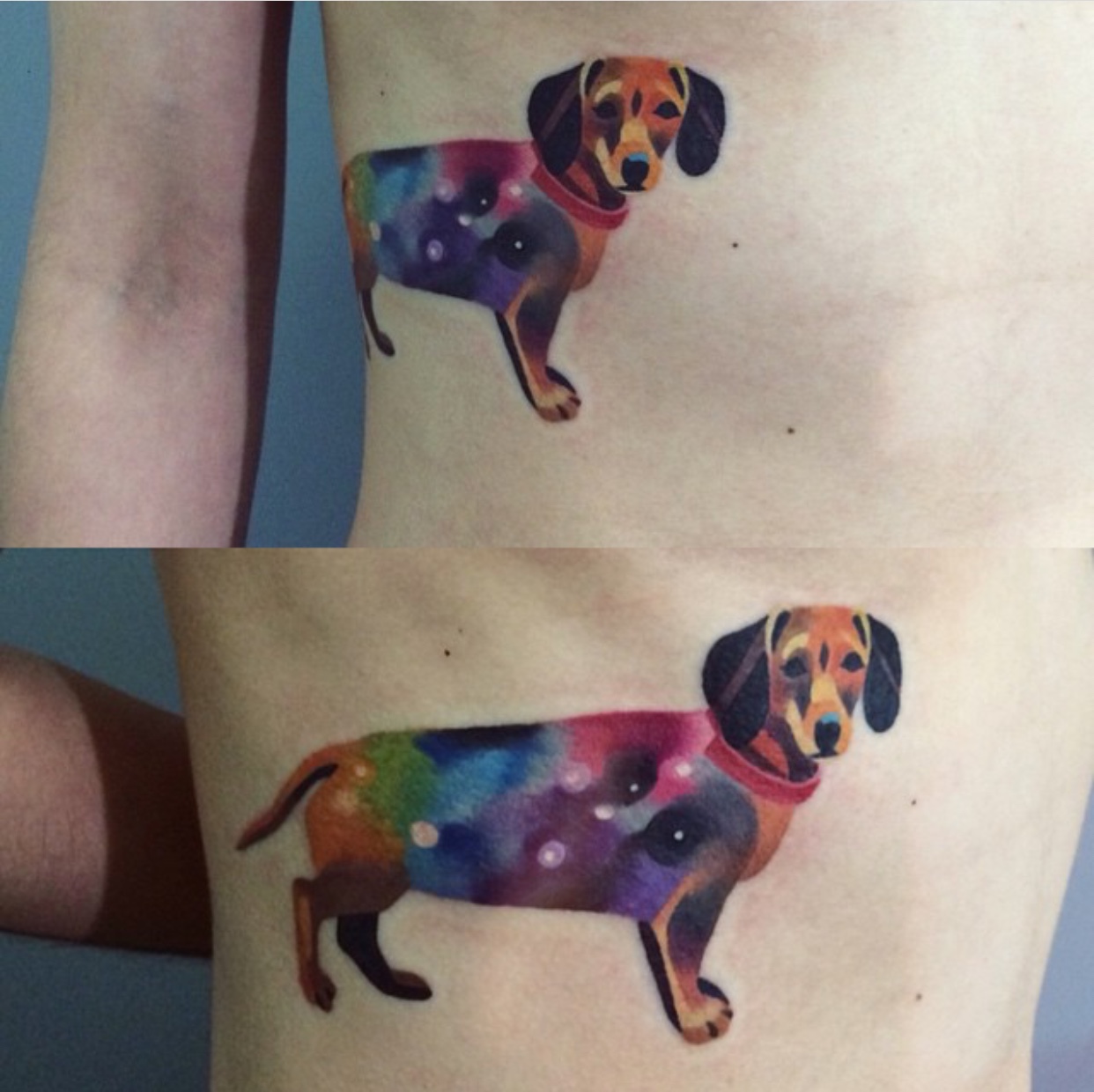 colorful Dachshund tattoo on the rib part of the body