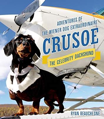 book cover with a photo of a Dachshund in his flying outfit with a plane behind him and titled as 