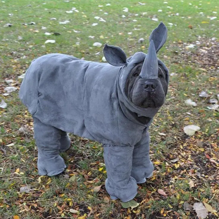 Shar Pei in Rhinoceros costume