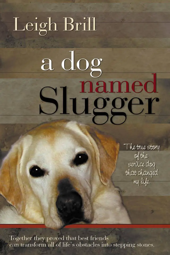 photo of a yellow Labrador Retriever puppy and with title - a dog named slugger