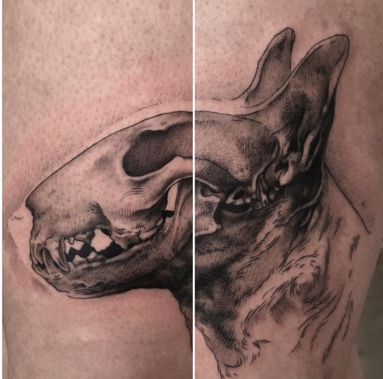 skull Bull Terrier tattoo