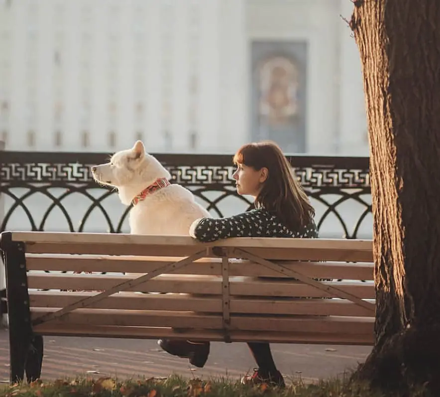 A woman sitting on the bench with an Akita sitting beside her