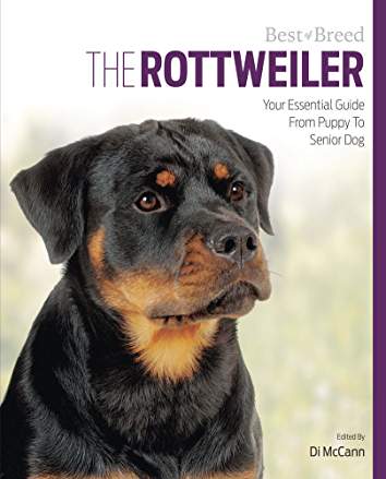 photo of a Rottweiler and with title - The Rottweiler: Your Essential Guide From Puppy To Senior Dog (Best of Breed)