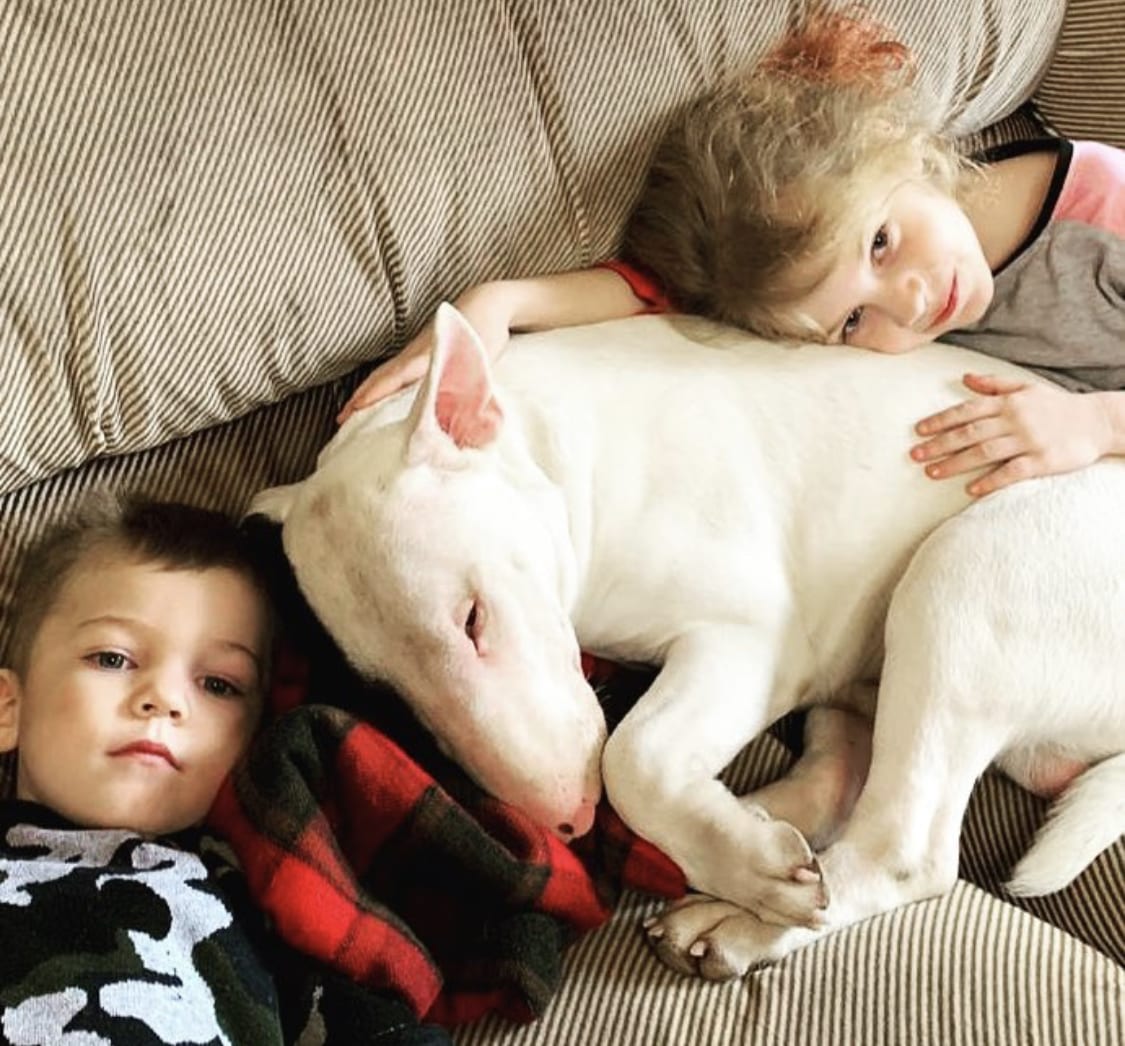 A Bull Terrier curled up lying on the couch in between the two kids