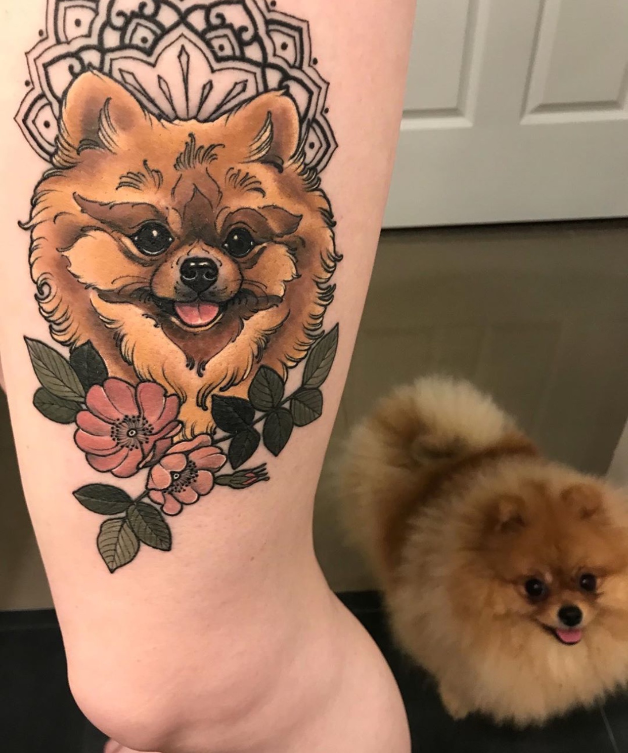 tan colored Pomeranian with flowers and mandala background tattoo on the thigh