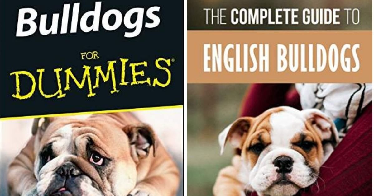 14 Books That All English Bulldog Owners Must Read! The Paws