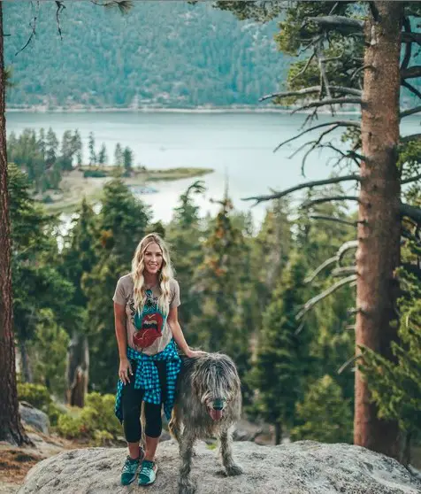 An Irish Wolfhound standing on top of the large rock in the forest next to a woman