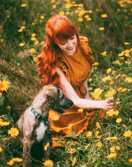 a woman in the field of yellow flowers with a Irish Wolfhound puppy